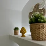 Mariuccia's باري